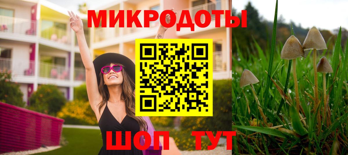 Галлюциногенные грибы Cubensis Волгодонск
